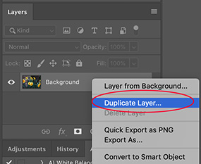 Duplicate Layer