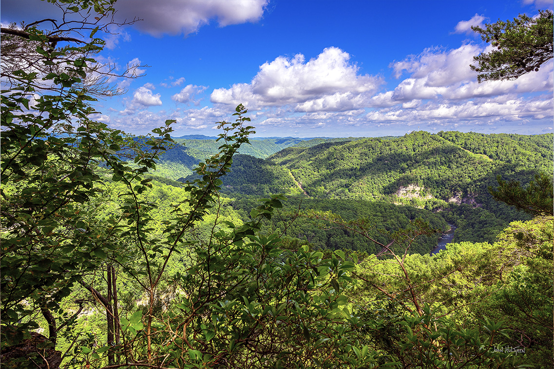 Overlook Trail